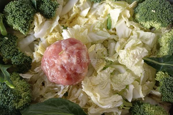 肉圆炖白菜的做法图解9