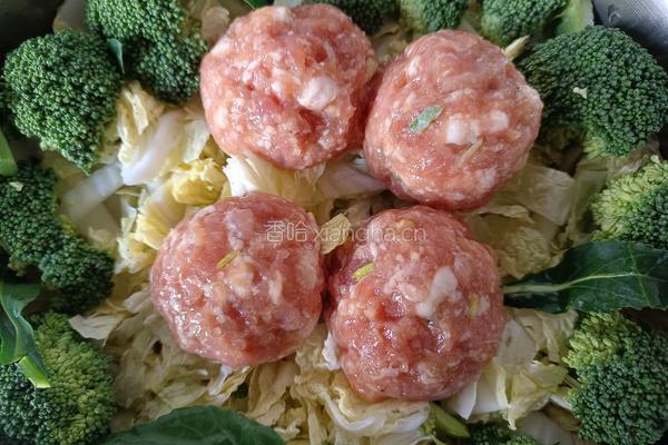 肉圆炖白菜的做法图解10