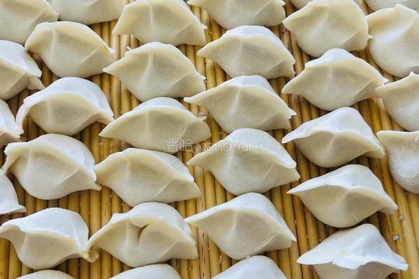 大肉西葫芦水饺的做法图解4