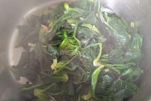 蚝油菠菜的做法图解6