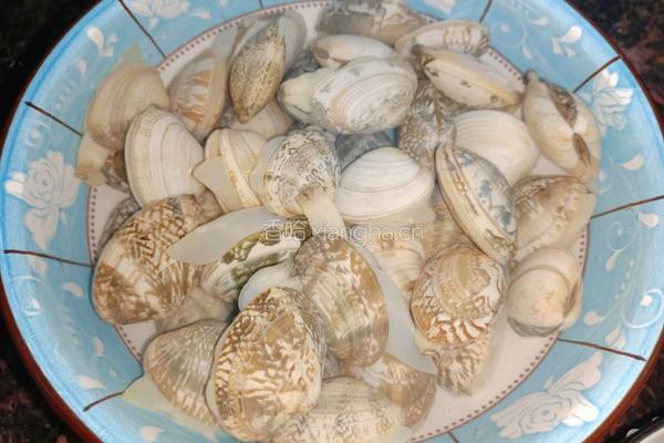 干焗虾和花甲的做法图解1