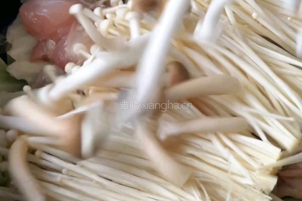 无水蔬菜鸡肉锅的做法图解6