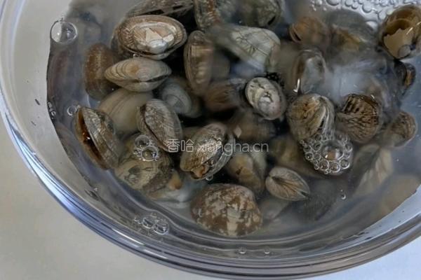 香辣爆炒花甲的做法图解1