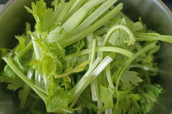 翡翠香芹拌海鲜菇的做法图解2