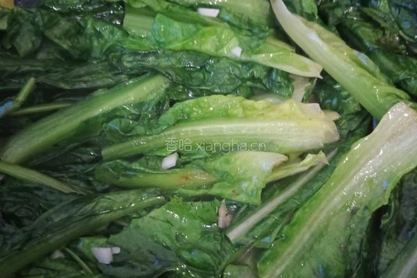 清炒油麦菜蒜蓉的做法图解5