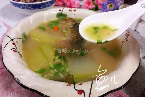 冬瓜鲫鱼汤的做法图解13