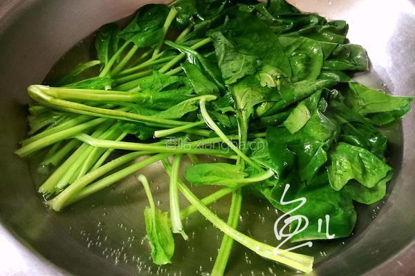 果仁菠菜的做法图解4