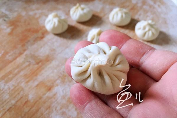 灌汤小笼包的做法图解21