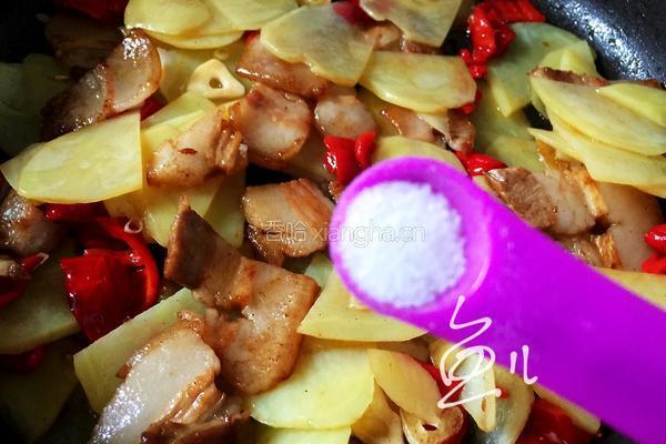 土豆回锅肉的做法图解14