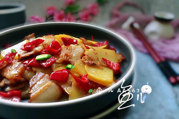 土豆回锅肉的做法图解16