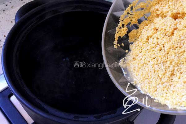 胡萝卜小米粥的做法图解4