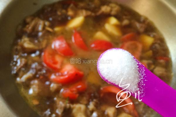 番茄土豆炖牛腩的做法图解14