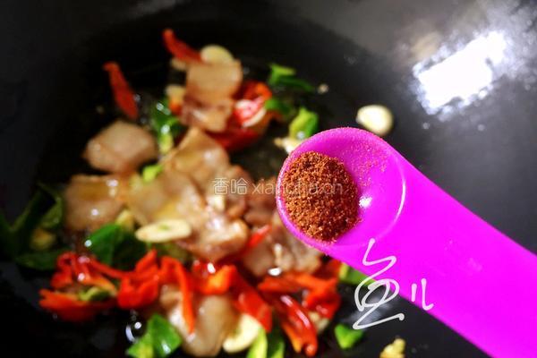 杏鲍菇炒肉片的做法图解9