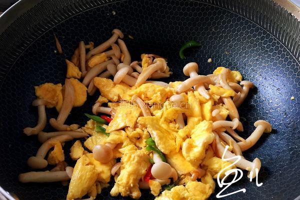 白玉菇炒鸡蛋的做法图解15