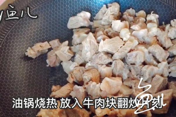 红焖牛肉的做法图解3