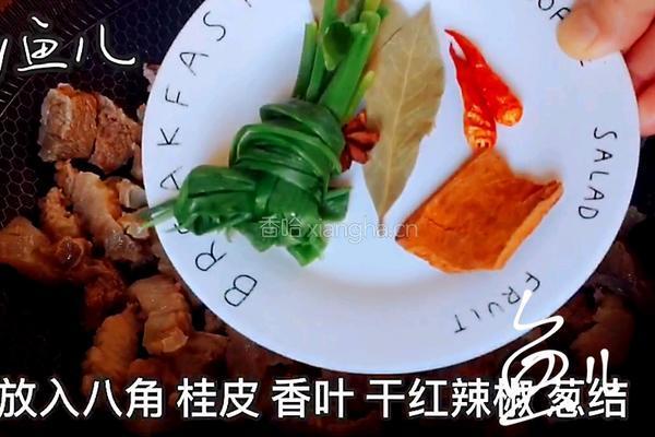 红焖牛肉的做法图解4