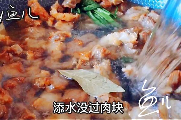红焖牛肉的做法图解9
