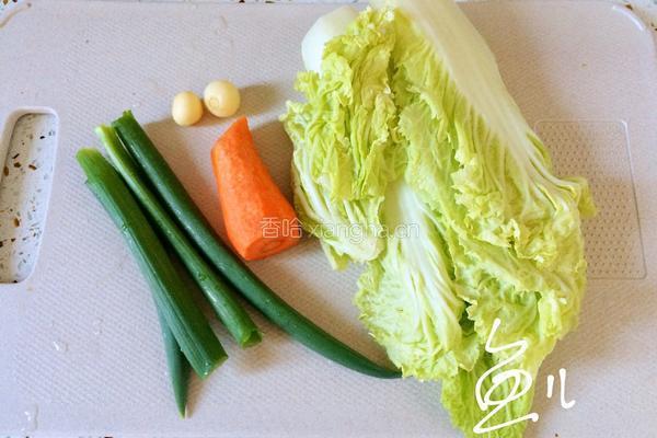 素炒白菜的做法图解1