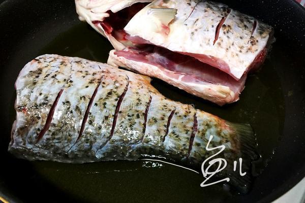 鲤鱼炖粉条的做法图解5