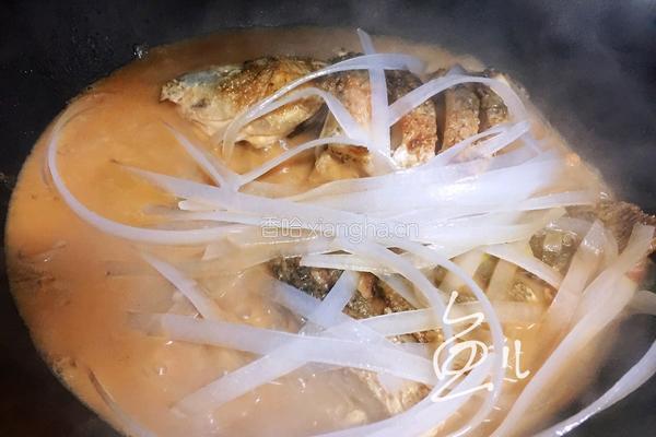 鲤鱼炖粉条的做法图解18