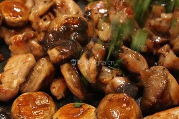 口蘑煎鸡肉的做法图解7