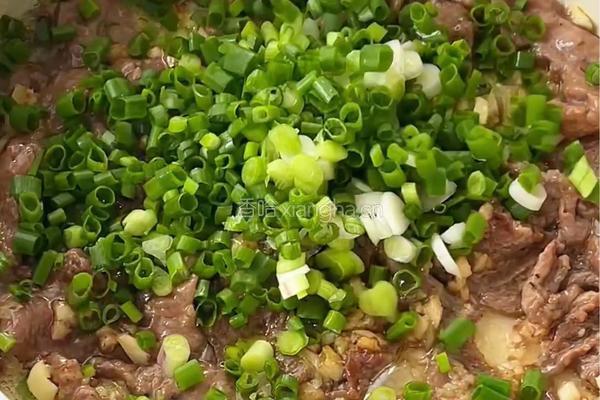 葱烧牛肉的做法图解6