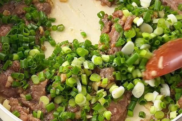 葱烧牛肉的做法图解7