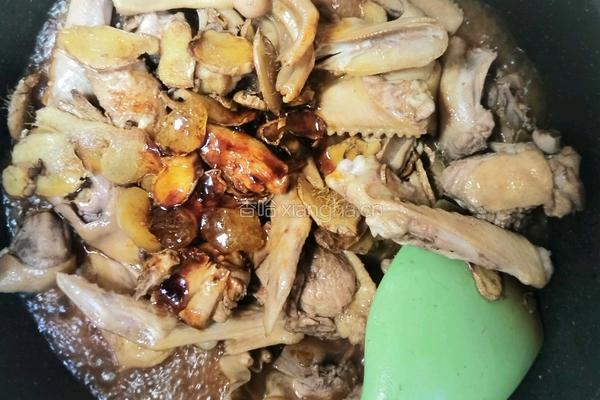 姜母鸭的做法图解10