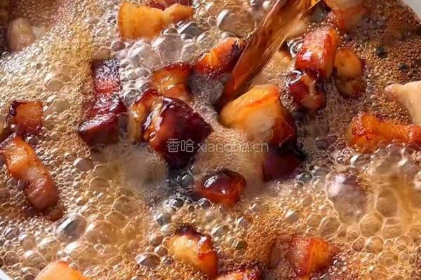 可乐卤肉饭的做法图解6
