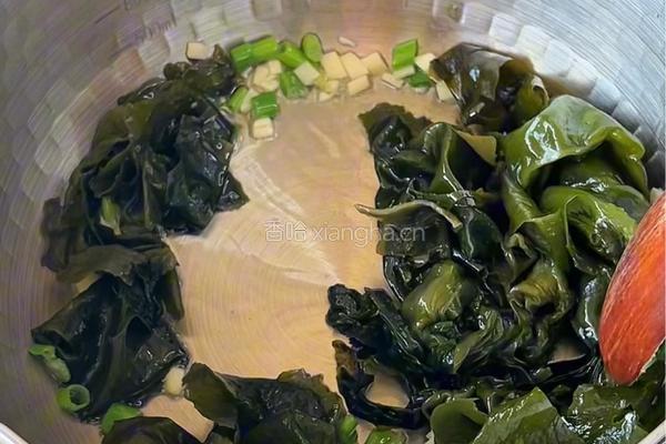 海带牛肉汤的做法图解4