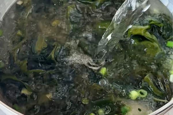 海带牛肉汤的做法图解5