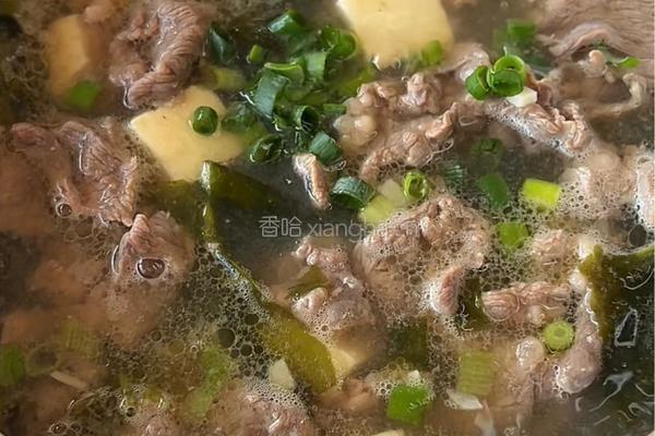 海带牛肉汤的做法图解7