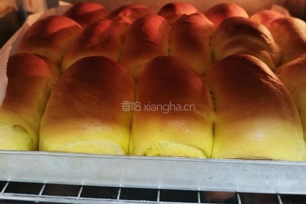 奶香南瓜餐包的做法图解19