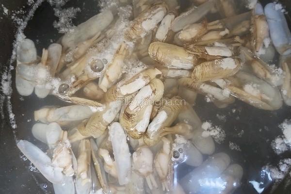 蒜蓉粉丝蛏的做法图解2