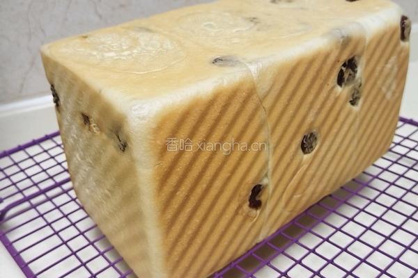 鲜奶提子吐司(2个450g吐司)牛奶液种