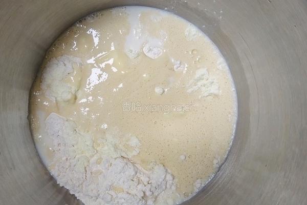 黄金芝士提子夹心面包条(牛奶液种)2个28方盘的量的做法图解4