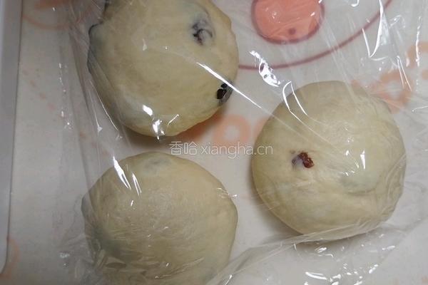 鲜奶提子吐司（2个450g吐司）牛奶液种的做法图解12