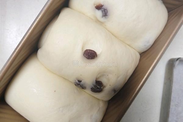 鲜奶提子吐司(2个450g吐司)牛奶液种的做法图解18