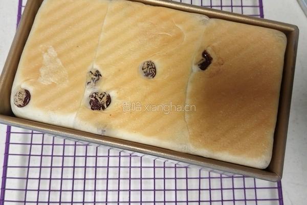 鲜奶提子吐司(2个450g吐司)牛奶液种的做法图解20