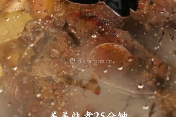 苹果炖猪排的做法图解6