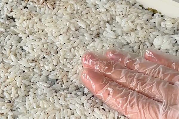 辣牛肉紫菜包饭的做法图解6