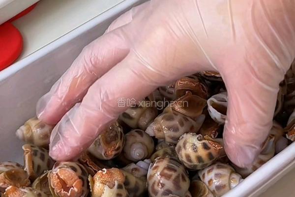 蒜香芥末花螺虾的做法图解1