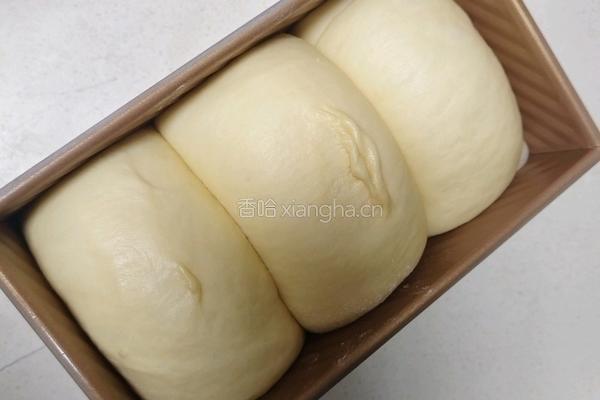 北海道巨蛋吐司(百分百中种)的做法图解16
