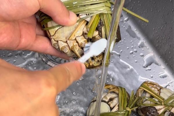 清蒸大闸蟹的做法图解1
