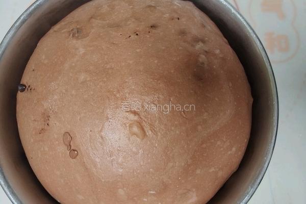 （波兰种）可可淡奶吐司(2个450g)的做法图解10