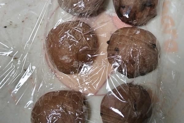（波兰种）可可淡奶吐司(2个450g)的做法图解13