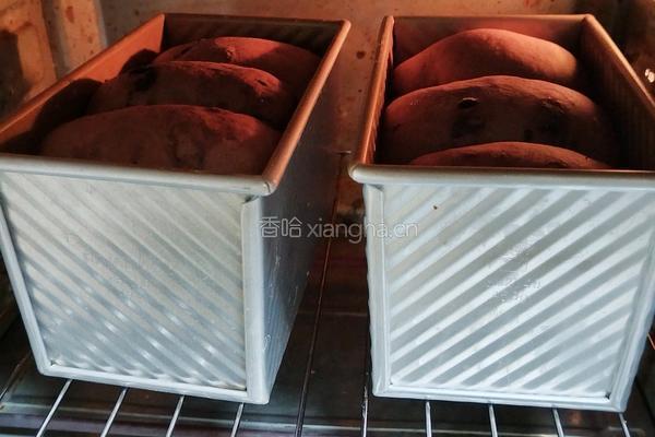 （波兰种）可可淡奶吐司(2个450g)的做法图解22