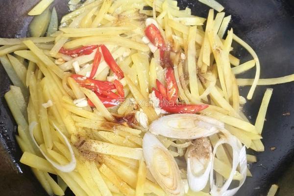 清炒土豆丝的做法图解4