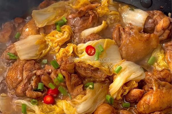 娃娃菜焖鸡的做法图解7