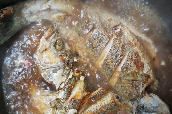 酱汁鲈鱼的做法图解7
